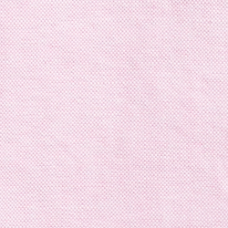 New Rose W/ White Collar