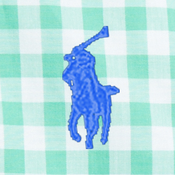 Fun Shirt