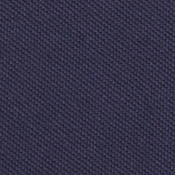 Cruise Navy