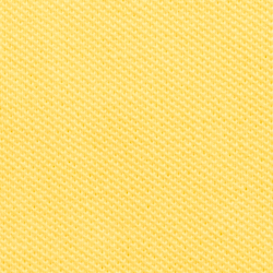 Signal Yellow