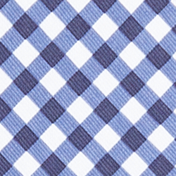 Blue Gingham