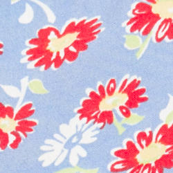 Beverly Daisy