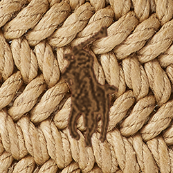 Timber Brown