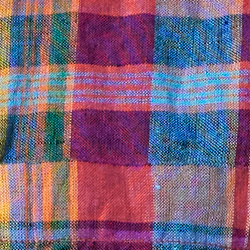 Orange Poppy Multi