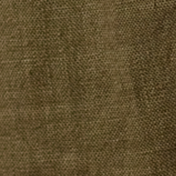 Olive Night