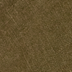 Olive Night