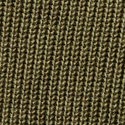Olive Night