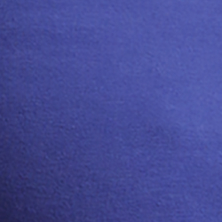 Bright Navy
