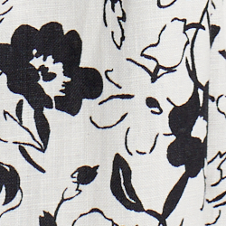 Black Lily On Cream
