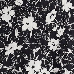 Cream Lily On Black