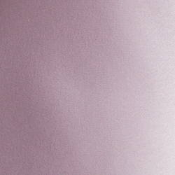 Violet tendre
