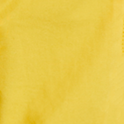 Canary Yellow