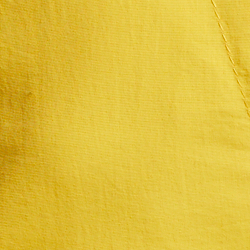 Canary Yellow