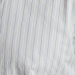 Blue/White
