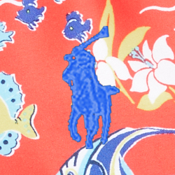 Motif hawa. récifs coral.