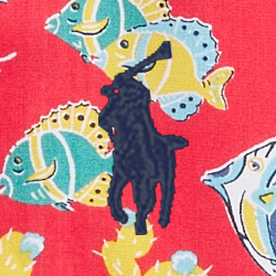 Motif hawa. récifs coral.