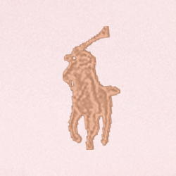 Ballet Pink