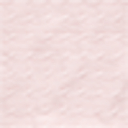 Rose du matin