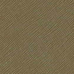 Olive Fern
