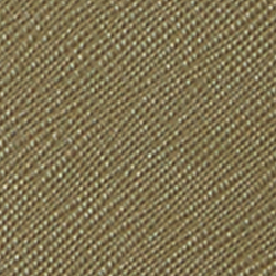 Fougère olive
