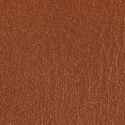 Tan/Paisley Multi