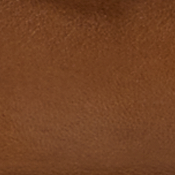 Castanho-escuro/camel