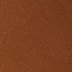 Sable cravache profond