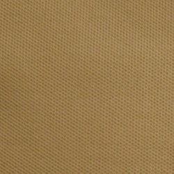 Birch Tan