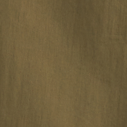 Fougère olive