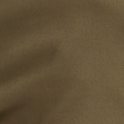 Fougère olive