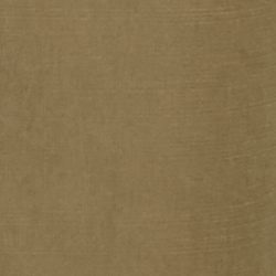 Fougère olive