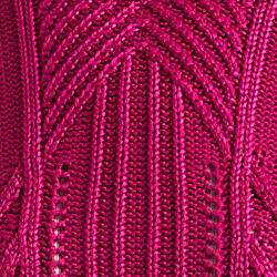 Baies fuchsia
