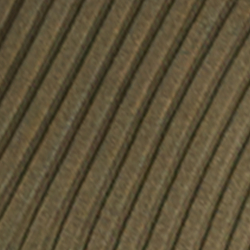 Fougère olive