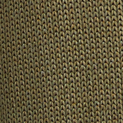 Fougère olive