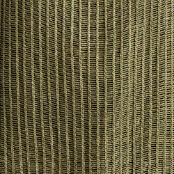 Olive Fern