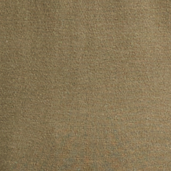 Olive Fern