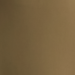 Fougère olive