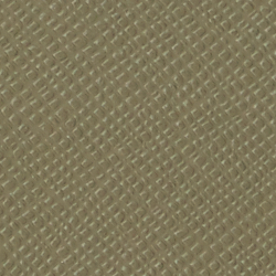 Fougère olive