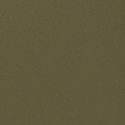 Fougère olive