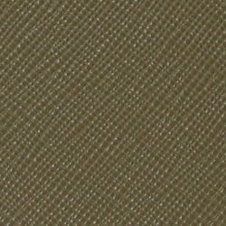 Olive Fern