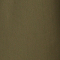 Fougère olive