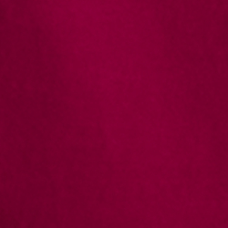 Baies fuchsia