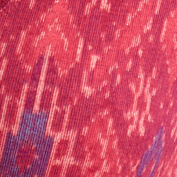 Fuchsia multi