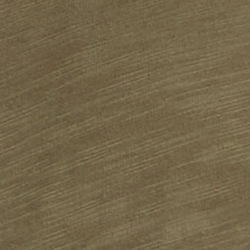Fougère olive