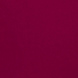 Fuchsia Berry