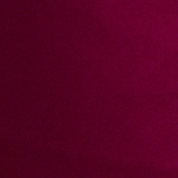 Fuchsia Berry