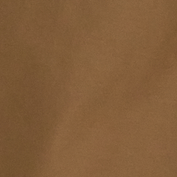 New Tan