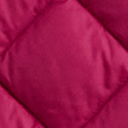 Baies fuchsia