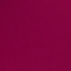 Fuchsia Berry