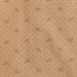 Printed Washed Khaki
